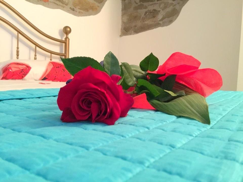 بيومبينوا Viola Apartment المظهر الخارجي الصورة